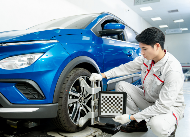 Bảo hành và dịch vụ